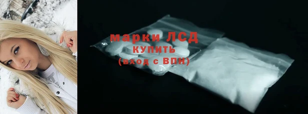 ПСИЛОЦИБИНОВЫЕ ГРИБЫ Лабытнанги