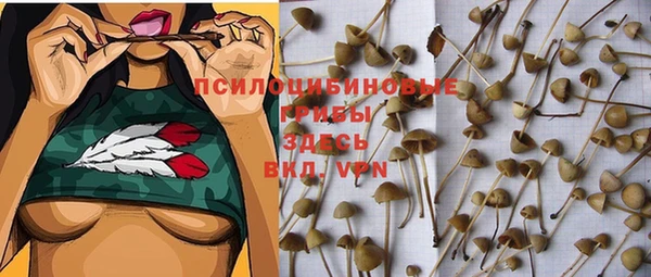 соль курить ск Лагань