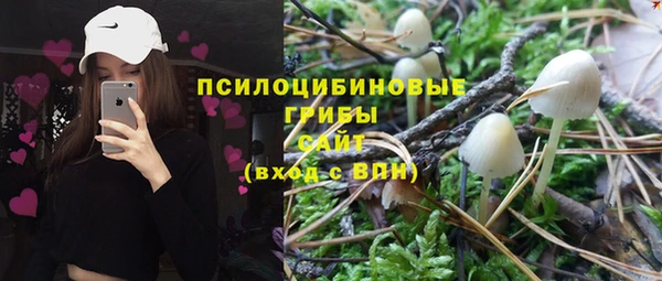 ПСИЛОЦИБИНОВЫЕ ГРИБЫ Лабытнанги